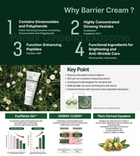 P198 Recore Barrier Cream