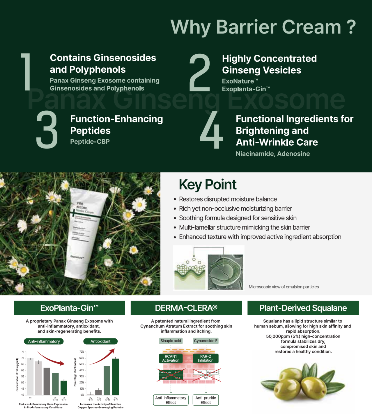 P198 Recore Barrier Cream