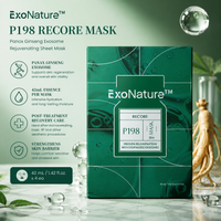 P198 RECORE MASK