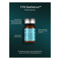 P198 RECORE HB PLUS