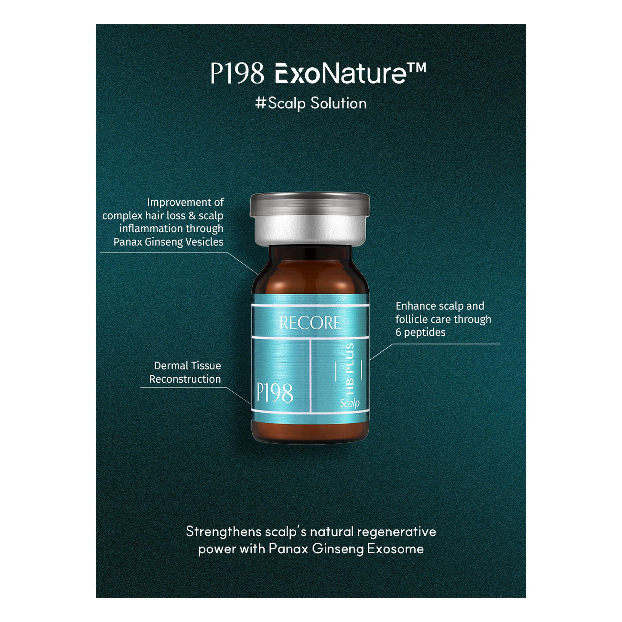 P198 RECORE HB PLUS